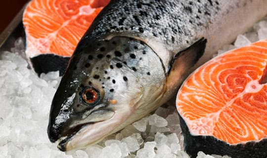 Slider_Sunde-fedtstoffer_fisk kostvejledning